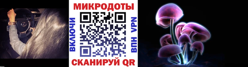 Галлюциногенные грибы мухоморы  где найти   Грозный 