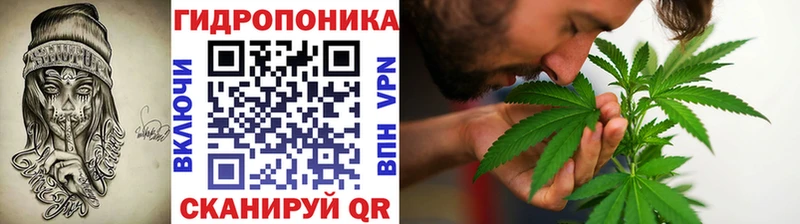 купить наркотик  Грозный  Канабис AK-47 